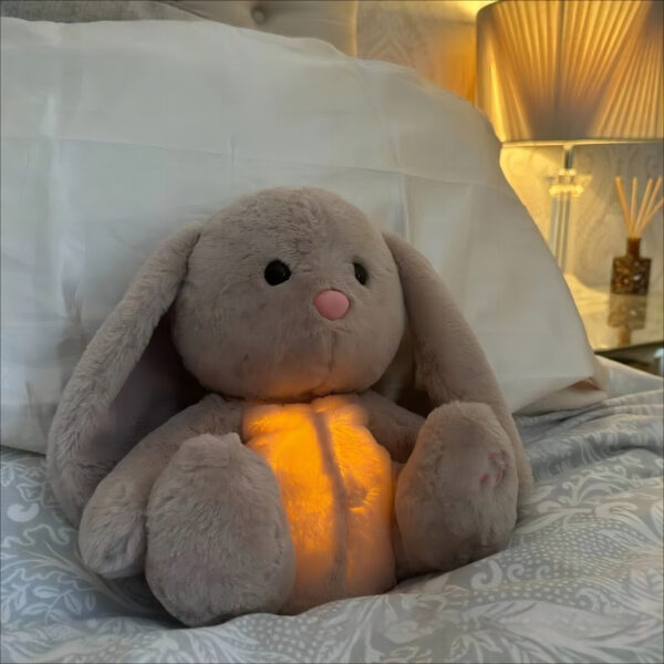 Sleep Aids for Better Rest & Nighttime Relaxation
